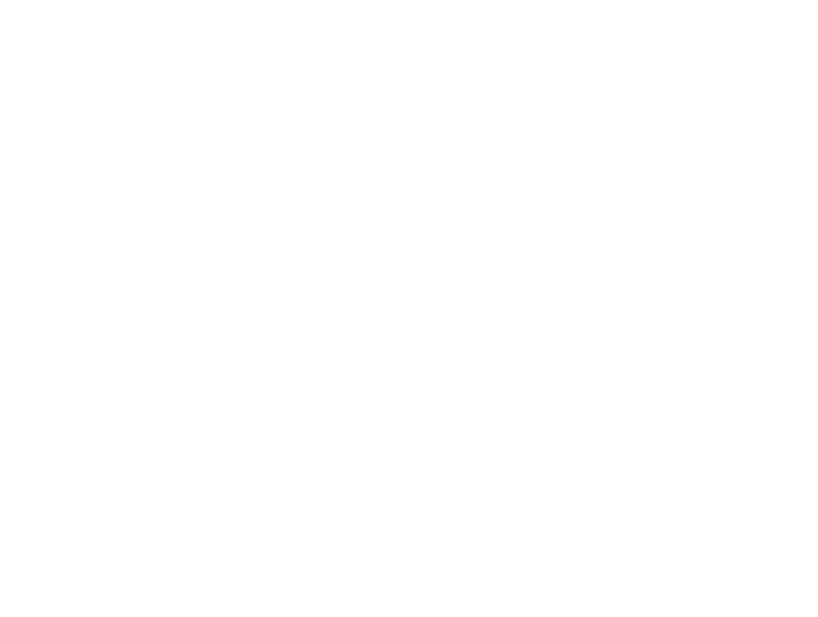 WEALTHNET FINANCIAL INVESTMENT LLC